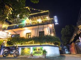 Big Tree Hostel，位于加德满都的酒店