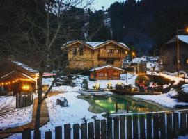 Chalet Croq'Neige，位于莫尔济讷的旅馆