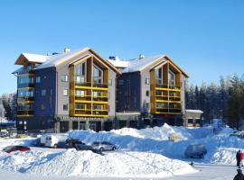 Levin Kunkku C9，位于列维Peak Lapland Viewing Deck附近的酒店