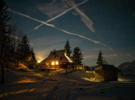 Chalet Tisa Velika Planina，位于StahovicaVlečnica Zeleni rob附近的酒店