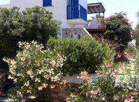 Village house in Paros，位于德里奥斯的别墅
