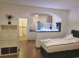 SLO. Apartments，位于Bakov nad Jizerou的酒店