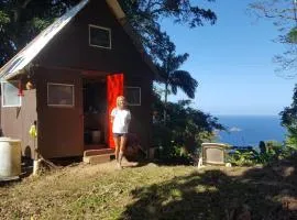 Tony's Offgrid Cabin Getaway