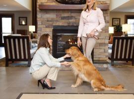 学院站驻桥套房假日酒店，位于大学城的酒店