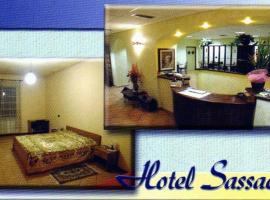 Hotel Sassacci，位于奇维塔卡斯泰拉纳的酒店