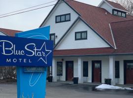 Blue Star Motel，位于Douglas的酒店