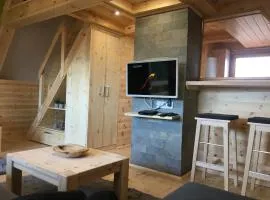 Wooden Apartman Prémium Jacuzzival