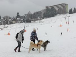 Ahorn am Fichtelberg，位于Capellen的酒店
