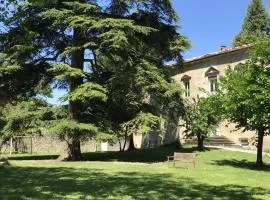 Les cèdres