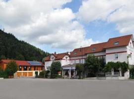 Hotel Restaurant Des Lacs - Logis de France，位于Celles-sur-Plaine的酒店