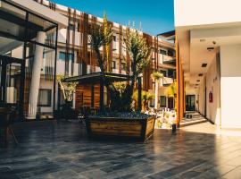 HOTEL MINA REAL MATEHUALA，位于马特瓦拉的酒店