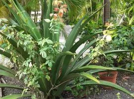 Les gîtes des 500 pas