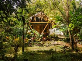 Wildlife Lodge Cahuita，位于卡维塔的山林小屋