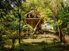 Wildlife Lodge Cahuita