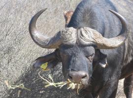 Lermitage Quagga Lodge - Chalets Velddrif，位于韦尔德里夫的酒店