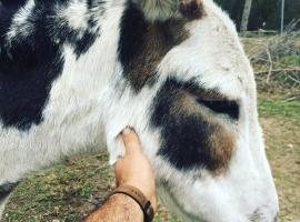 Turicum AT Monkey Rock Winery & Cider，位于Parryville的酒店