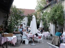 Zum goldenen Löwen，位于卡尔明茨的酒店