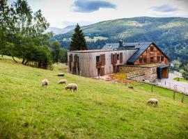 Amenity Hotel & Resort Špindlerův Mlýn，位于什平德莱鲁夫姆林的酒店