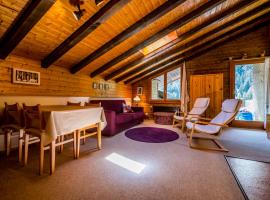 Appartement cosy au centre de Grimentz，位于格里门茨的酒店