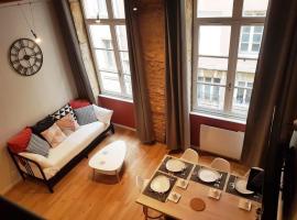 Cosy appartement, dans les pentes de la Croix Rousse，位于里昂里昂美术馆附近的酒店