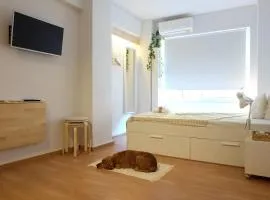Economy apartment B1 low budget