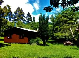 Cabaña Calcurrupe - Lago Ranco