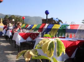 Family Guest House with roof top restaurant/bar，位于加德满都的酒店