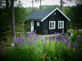 Fröya Timber Cottage，位于阿尔维卡的度假屋