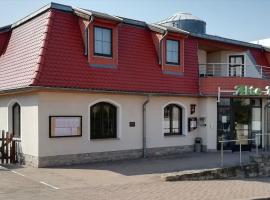 阿尔特阿坡提科酒店，位于巴特迪伦贝格的酒店