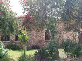 Agriturismo Pingitore