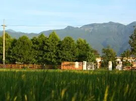 坲卡夏荘园民宿