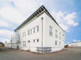 Pension Schweizer，位于劳普海姆的酒店