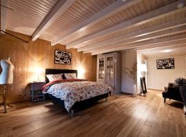 绿色艺术酒店，位于克吕特的酒店