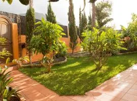 ENERGY GARDEN，位于巴哈马尔的木屋