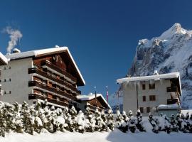 里斯登公寓酒店，位于格林德尔瓦尔德的酒店