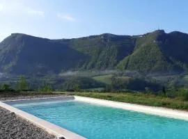 L ' AMIRADOU