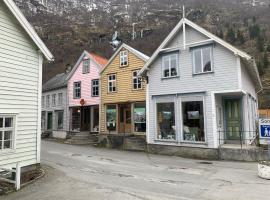 Old town boutiqe apartments/ Gamle Lærdalsøyri boutique leiligheter，位于莱达尔绥里的带停车场的酒店