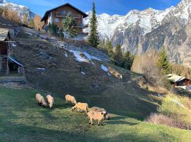 Panorama at Haus Waldheim! Nr 12，位于格雷兴的酒店
