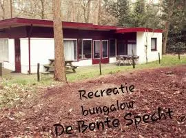 Bonte Specht