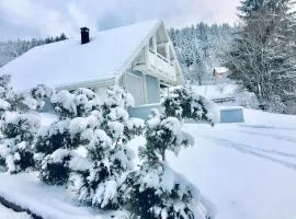 Chalet Le Flocon Bleu - Mauselaine avec vue sur le Lac de Gérardmer