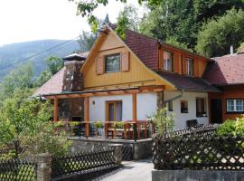 Ferienhaus Bauer Wohnung 2，位于Trattenbach的酒店