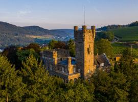 Saar Castle - cozy Mansion near vineyard，位于Serrig的度假屋