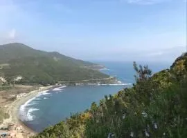 " les chênes "