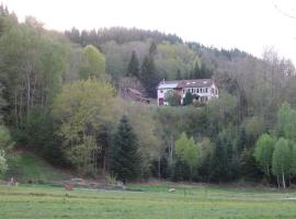 BnB chambres d'hôtes le Chêne，位于Ban-sur-Meurthe-Clefcy的住宿加早餐旅馆