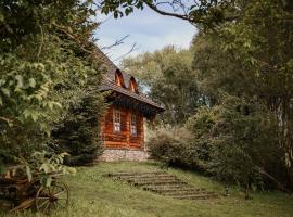 Przystanek Ropienka Leśniczówka，位于Ropienka的酒店