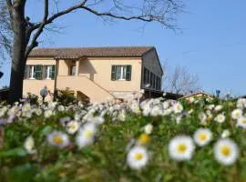 Il Mandorlo - Agriturismo e Azienda Agricola Ferrato