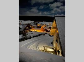 Rodinný apartmán v srdci Šumavy，位于克维尔达的酒店