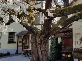 Ferienwohnung Zum-alten-Kirschbaum