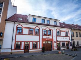 Hotel Volf，位于Přeštice的酒店