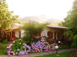 Alekas Studios